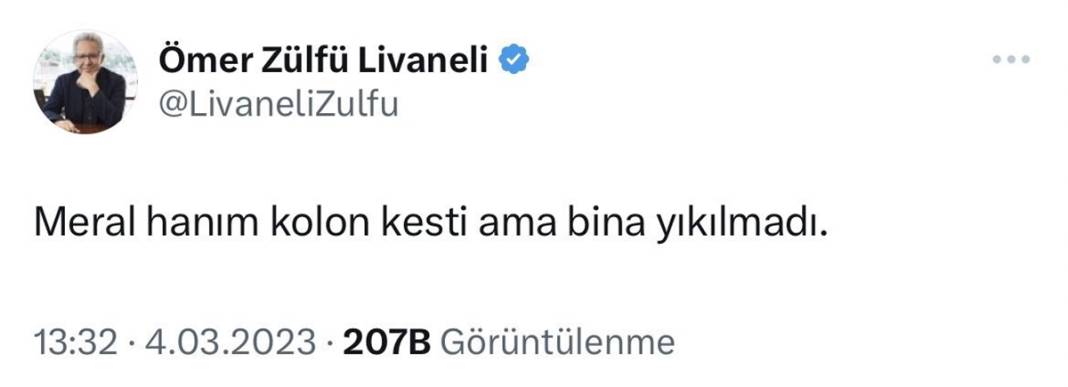 Yazıklar olsun, Erdoğan'ı Kılıçdaroğlu'na tercih etti! Meral Akşener'in Altılı Masa'yı terk etmesine ünlülerden sert tepki 23